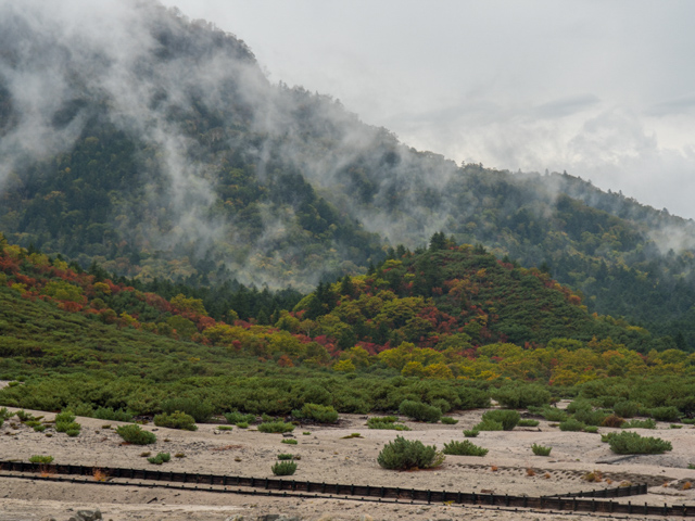 Steam and Autumn Colours