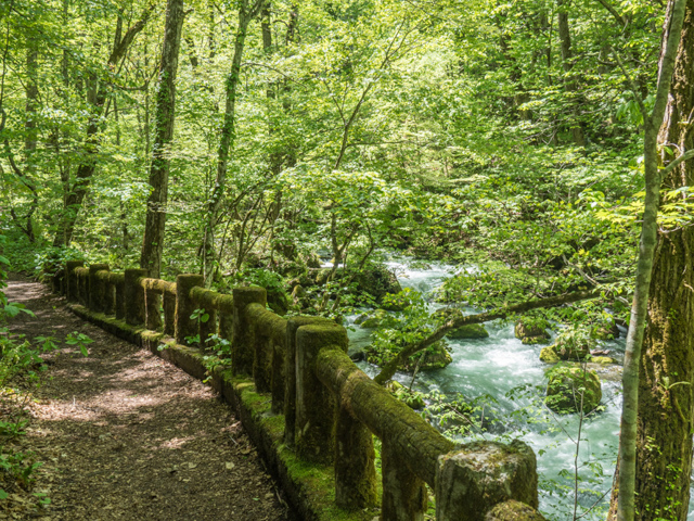 Oirase River Trail 