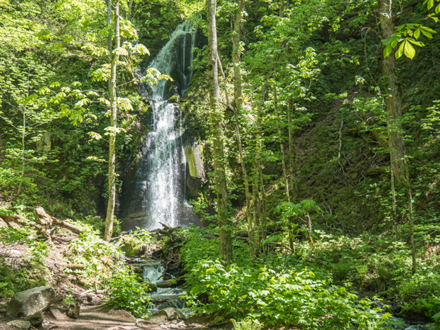 Oirase River Trail 