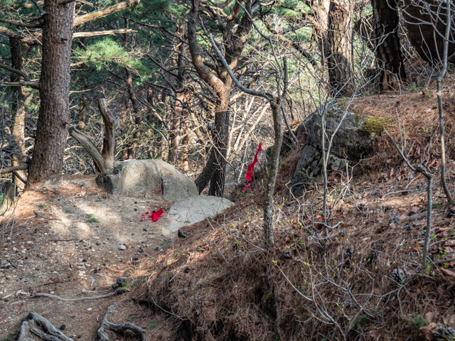 Trail Down to Donghwasa Temple