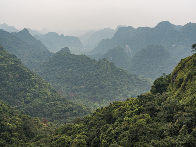 Karst on Cat Ba Island, Halong Bay 