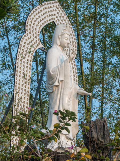 Lady Buddha in the Forest