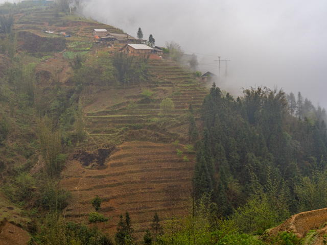 Hmong Village 