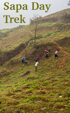 Dao tribesmen working the
    terraces 