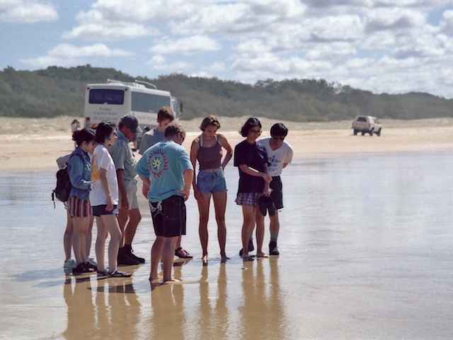 Cockles on the beach.