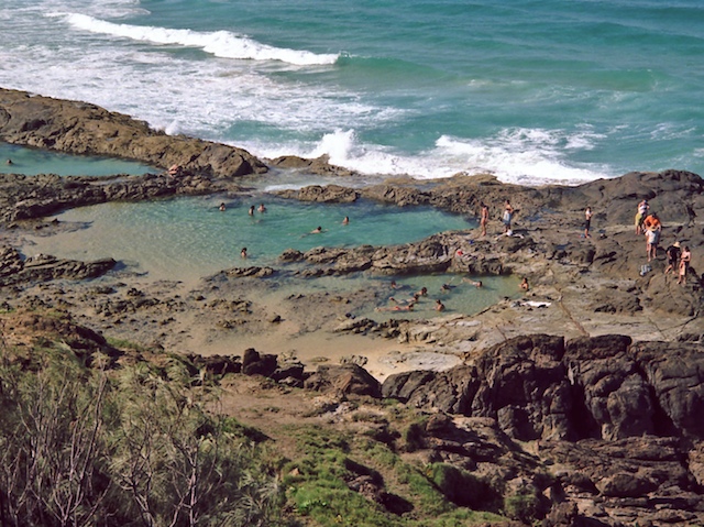 Champagne Pools have small fish in them.