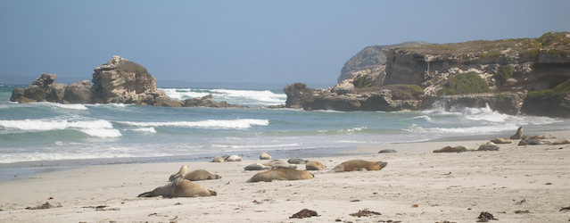 Seal Conservation Park