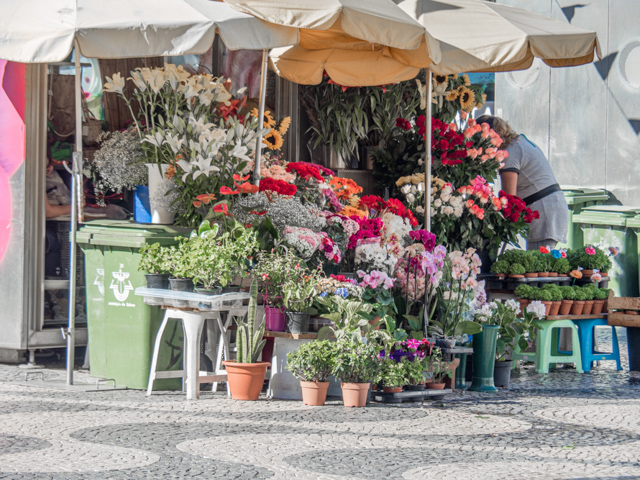 Flower Stall in Rossio Square