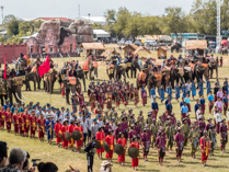 Elephnat roundup at Surin, Thailand.