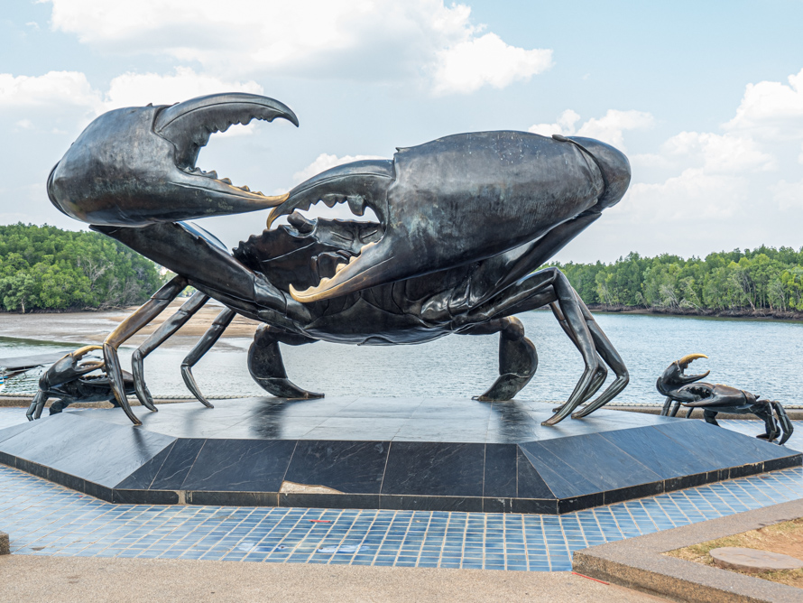 Crab in Krabi