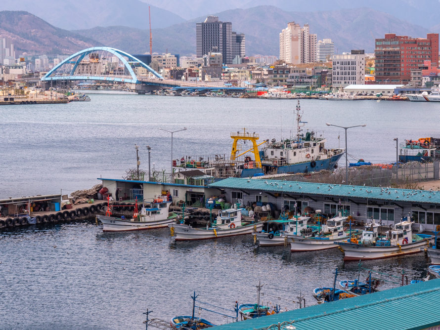 Fishing fleet in Cheongchoho Lake